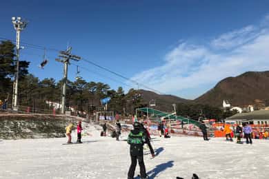 Jisan Forest Ski Resort One Day Tour