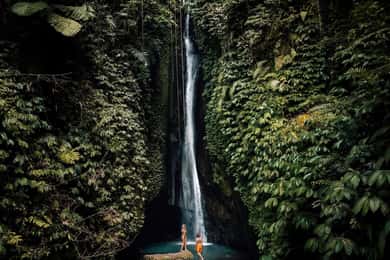 North Bali: Monkey Forest -Waterfall- Rice Terrace-Ulun Danu