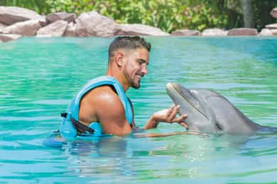 CANCUN: pływanie z delfinami z bufetem i napojami bezalkoholowymi