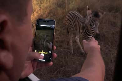 Unforgettable tour of Angola-Luanda and Safari