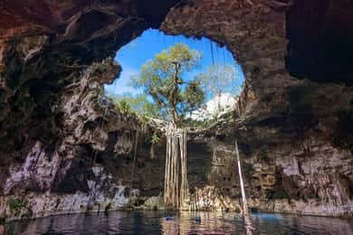 From Merida: 3 Cenotes and Acanceh zone with Lunch & Bikes