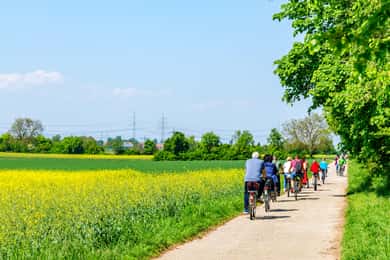 Vanuit Amsterdam: Landelijke fietstocht met kaasproeverij