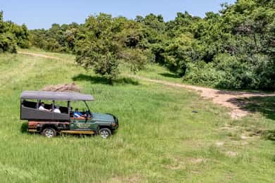 Sunset Drive From Hazyview - Kruger National Safari