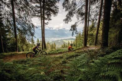 Innsbruck: Guia de Downhill - Bike Park Innsbruck
