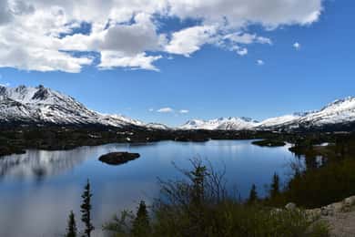 From Skagway: White Pass Summit Guided Bus Tour