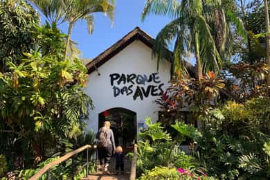 Private Bird Park Tour: Encounter Vibrant Birds Up Close