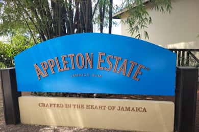 Visita à Fábrica de Rum Appleton: Serviço de busca em Montego Bay e Falmouth