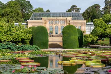 Stuttgart: Wilhelma Zoologisch-Botanischer Garten Ticket