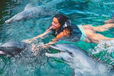 Caribbean Getaway: Rosario- Barú- Oceanarium & Tierra Bomba