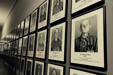 Krakow: Auschwitz-Birkenau privat chaufförstjänst