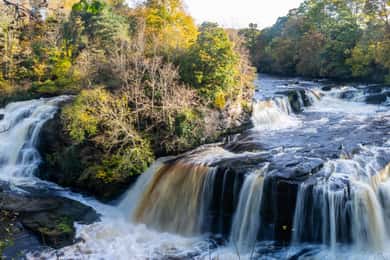 Hike World Heritage Reserve Waterfalls