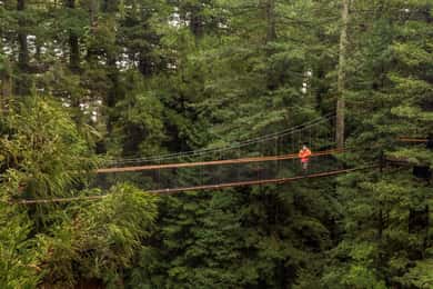 Auckland: Rotorua Day Tour with Redwoods Treewalk & Spa