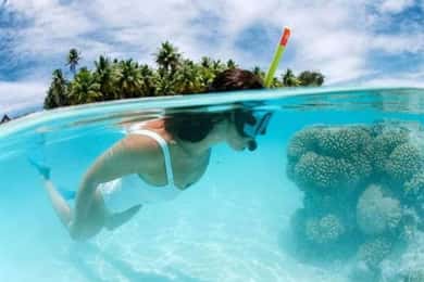 Ilha Catalina: Viagem de 1 dia - O melhor mergulho com snorkel!