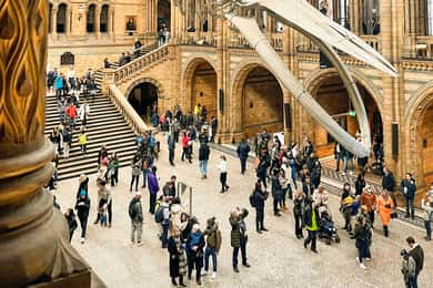 London: Natural History Museum Guided Tour