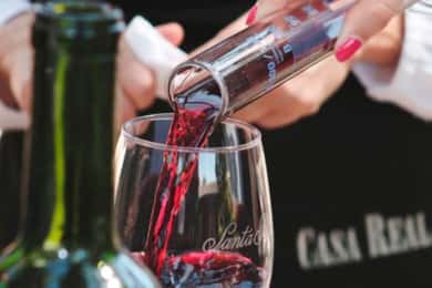 Iz Santiaga: obilazak Viña Santa Rita s prijevozom