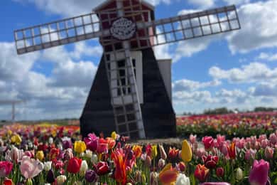 Amsterdam: dorpjes, kaas, windmolens, klompen & landgoed