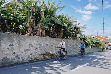 Self-Guided E-Bike Road Tour - Funchal to Câmara de Lobos