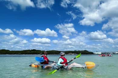 Clearwater: Tour guidato in kayak a Clearwater