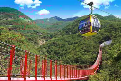 Seoul: DMZ with Optional Suspension Bridge & Gondola