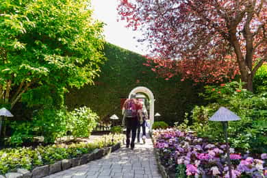 Victoria & Butchart Gardens Tour with Gulf Islands Cruise