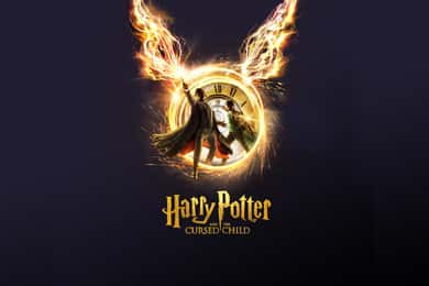 NYC: Harry Potter and the Cursed Child on Broadway
