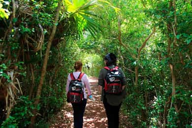 Bermuda: Bermuda Hidden Gems Summer Excursion