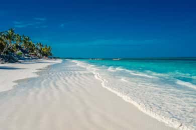 Zanzibar: Kuza Cave, Blue Lagoon, Starfish Tour