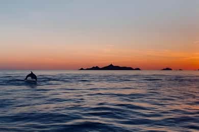 Ajaccio: tour in mare al tramonto delle Sanguinarie