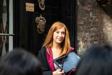 London: Deluxe Harry Potter Tour, Cruise & Tower of London