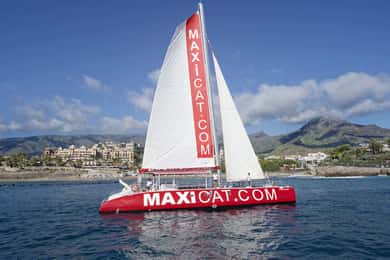 Costa Adeje: Wal- und Delfin-Bootsfahrt mit Essen und Abholung