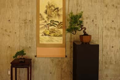 Hiroshima : expérience personnalisée de bonsaï et wabi-sabi