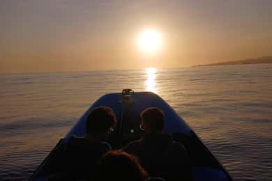 Vila Franca: Bootsfahrt bei Sonnenuntergang mit Wein und Wasseraktivitäten