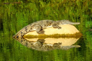 Broome to Darwin: 10 Day Kimberley Tour