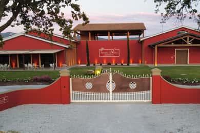 The Selections: visit and tasting in the Bolgheri Doc region
