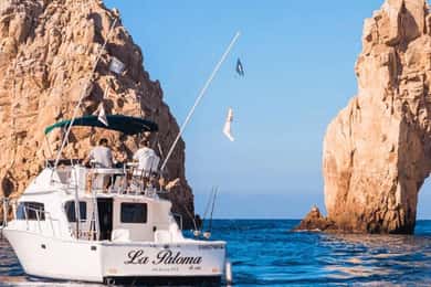 Cabo San Lucas: 33' Bertram "La Paloma" visvakantie