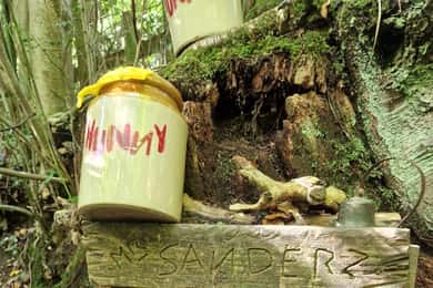 Von London aus: Winnie-the-Pooh's Hundred Acre Wood Tagestour