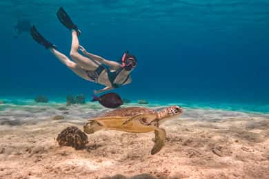 Bonaire: VIP Private Snorkeling Tour with Underwater photos