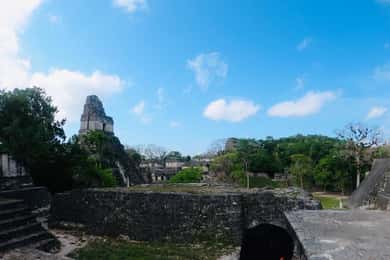 Tour naar Tikal: vanaf luchthaven Mundo Maya in Flores