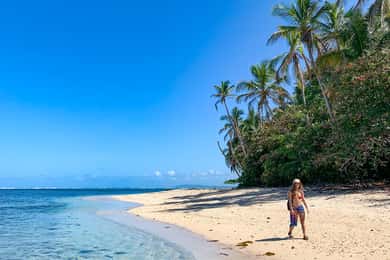 Cahuita National Park+Bribri Chocolate Tour+Waterfalls Tour+Lunch