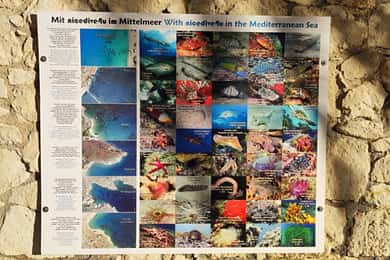 Crete: Taster diving in the sea for beginners incl. rental equipment