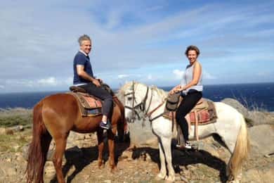 Aruba: 2-Hour advanced Horseback Riding to the North Coast