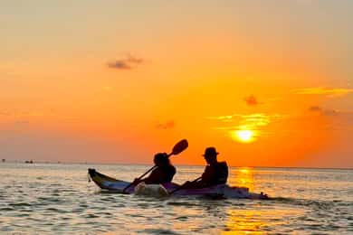 Holbox: Mangrove kajaktocht bij zonsondergang