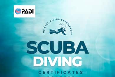 Aqaba: Kurser för dykcertifikat ( PADI ) 3 dagar