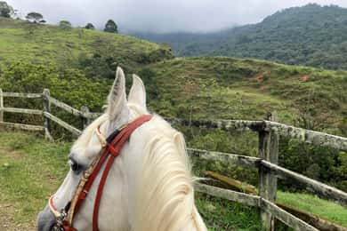 Passeios a cavalo: Explore a zona rural próxima a Medellín