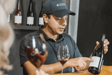 Waiheke Island: Scenic Wine Tour Tasting Wines on Waiheke