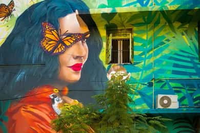 Delhi: Explore Delhi's Street Art & Visit to an Art Centre