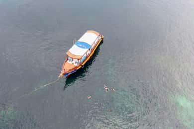 Koh Tao: First Light Snorkel Adventure med Oxygen Tours