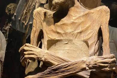 Guanajuato: Cultuur & Geschiedenis Privé Rondleiding - Dagtrip