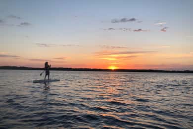 Rent a stand-up-paddling board