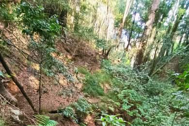 Barranquismo Tenerife: Canyoning Adventure